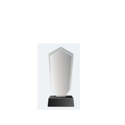 NITRO TROPHÉE EN CRISTAL